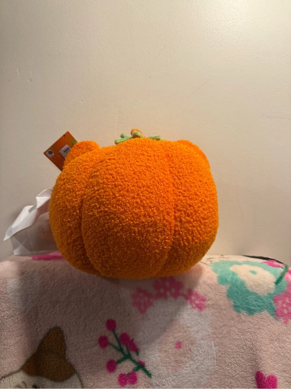 Viral Aldi Winnie the Pooh Pumpkin Halloween pillow